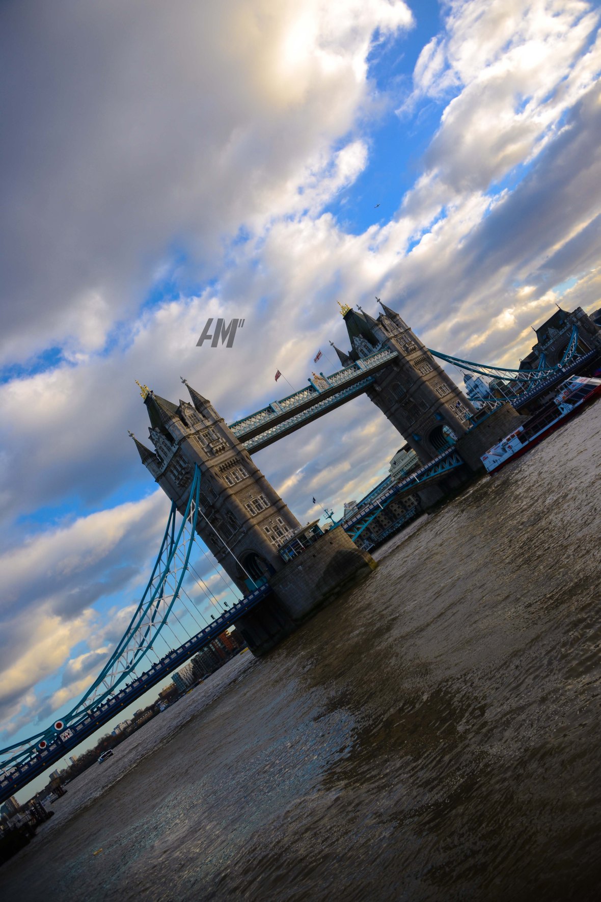 20160130-AMM_3614 copy