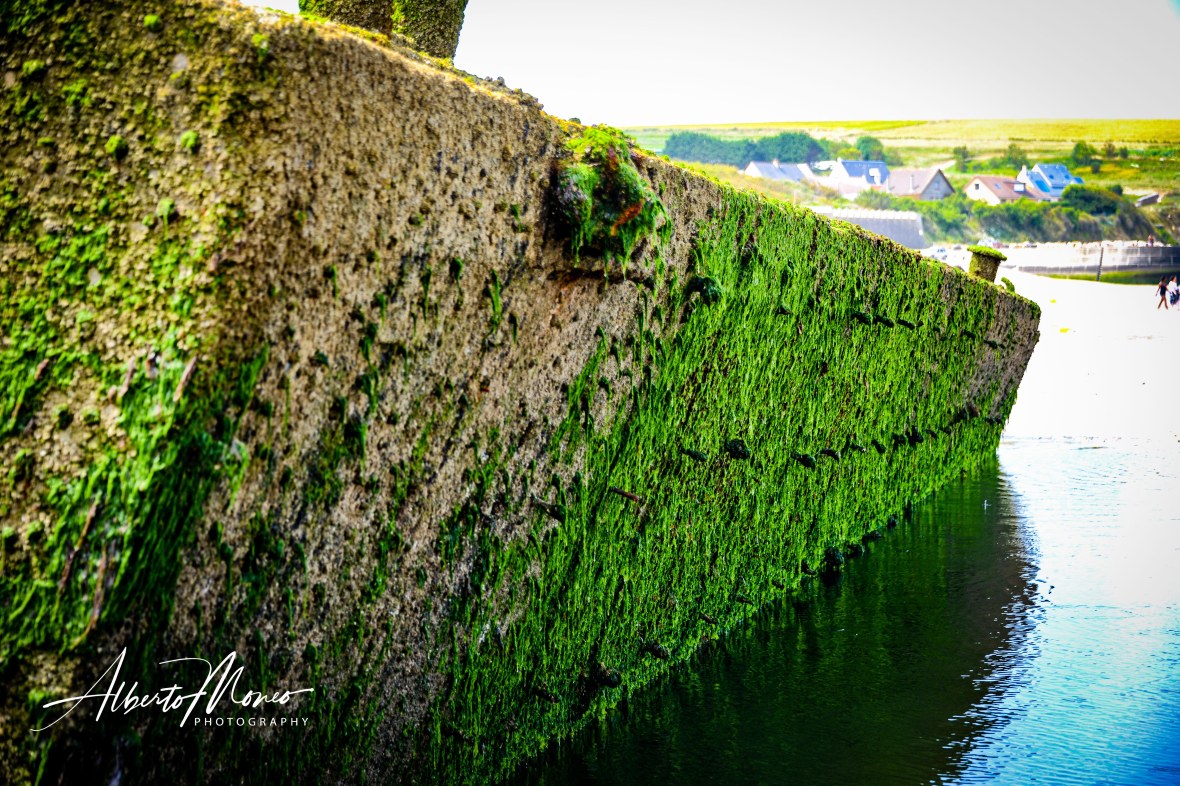 Normandy_19