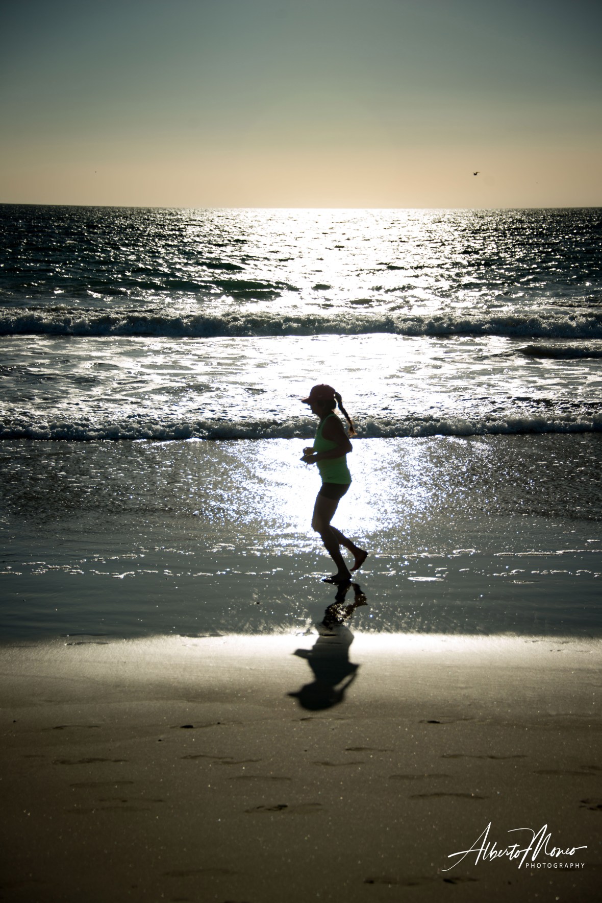 20181113-AMM_0506 copy