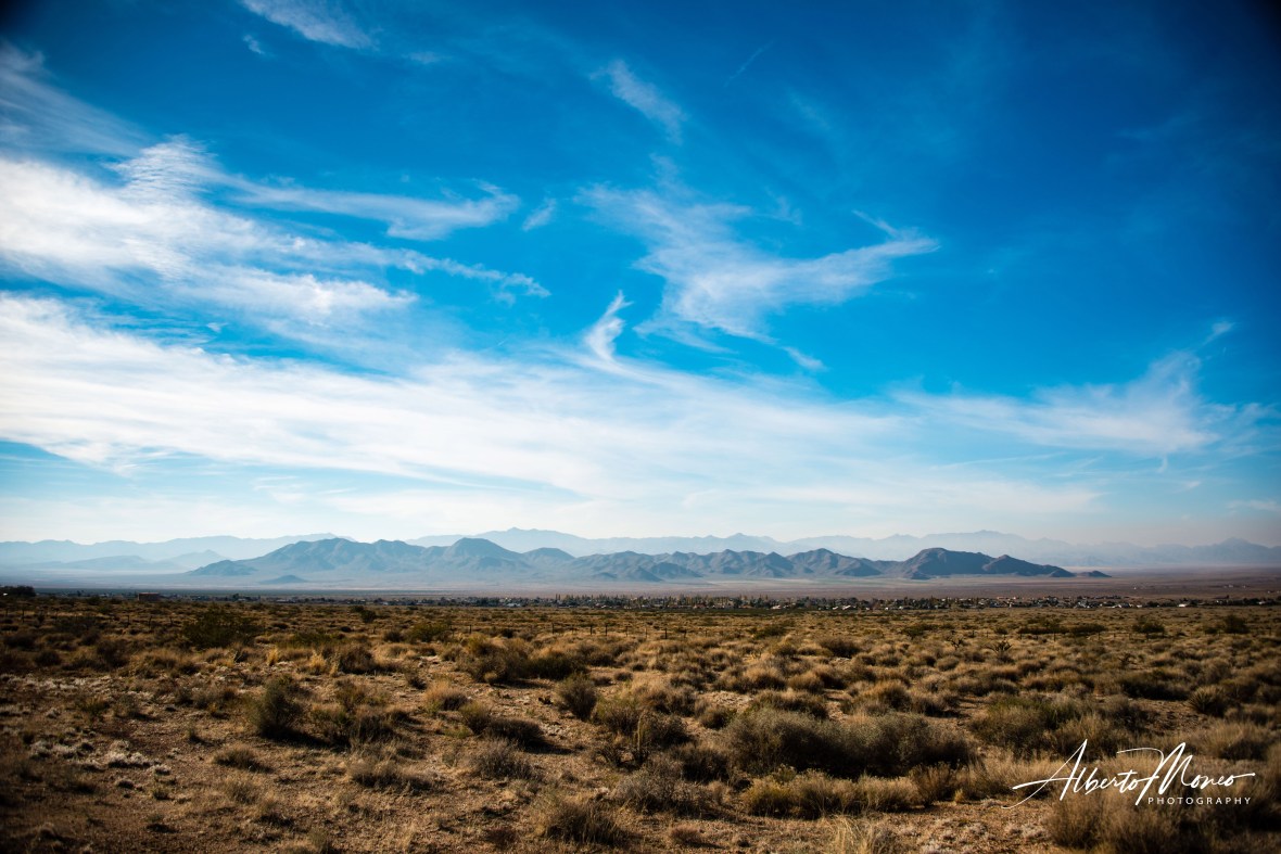 20181115-AMM_0874 copy