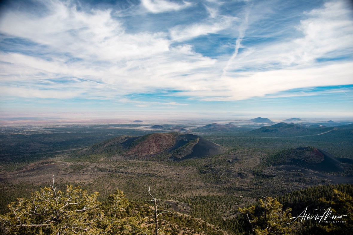 20181116-AMM_0977 copy