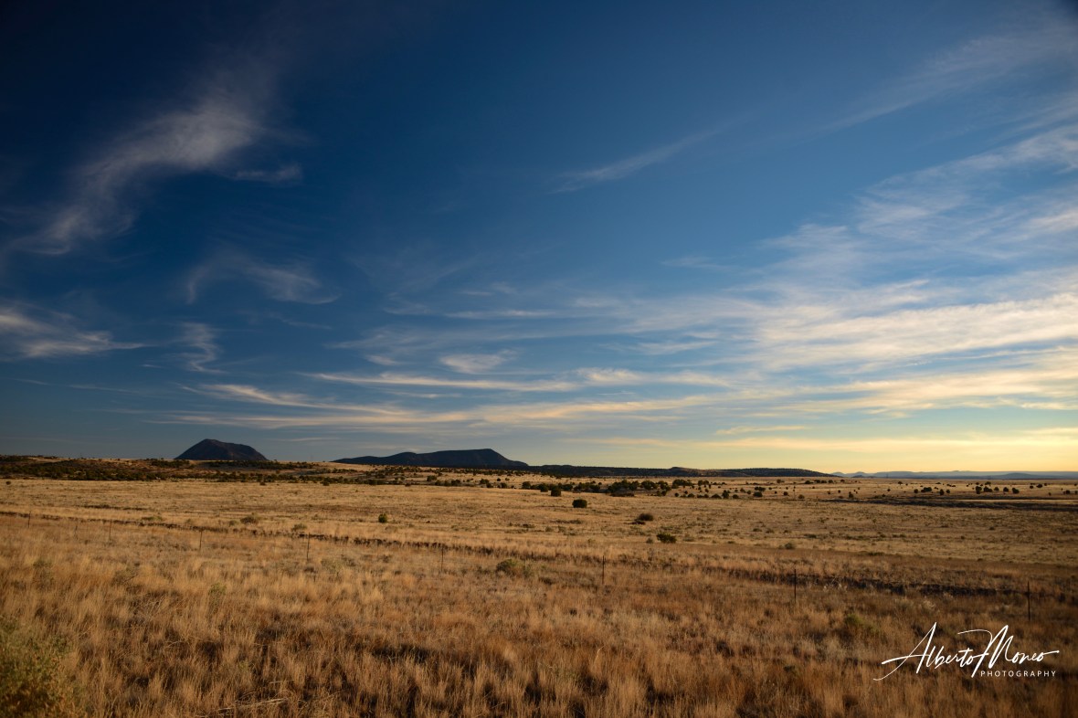 D80B1053-622D-4D26-940B-30BDB9D22883 copy.jpg