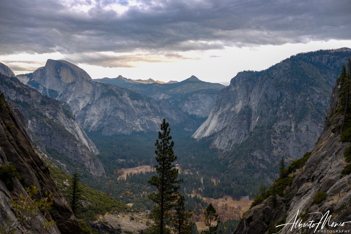 31076791657_250d2b6b67_o