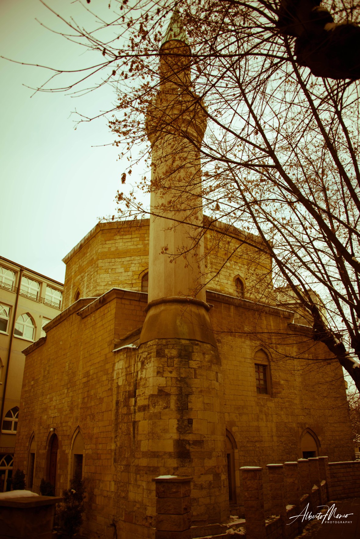 20190105-AMM_2594 copy