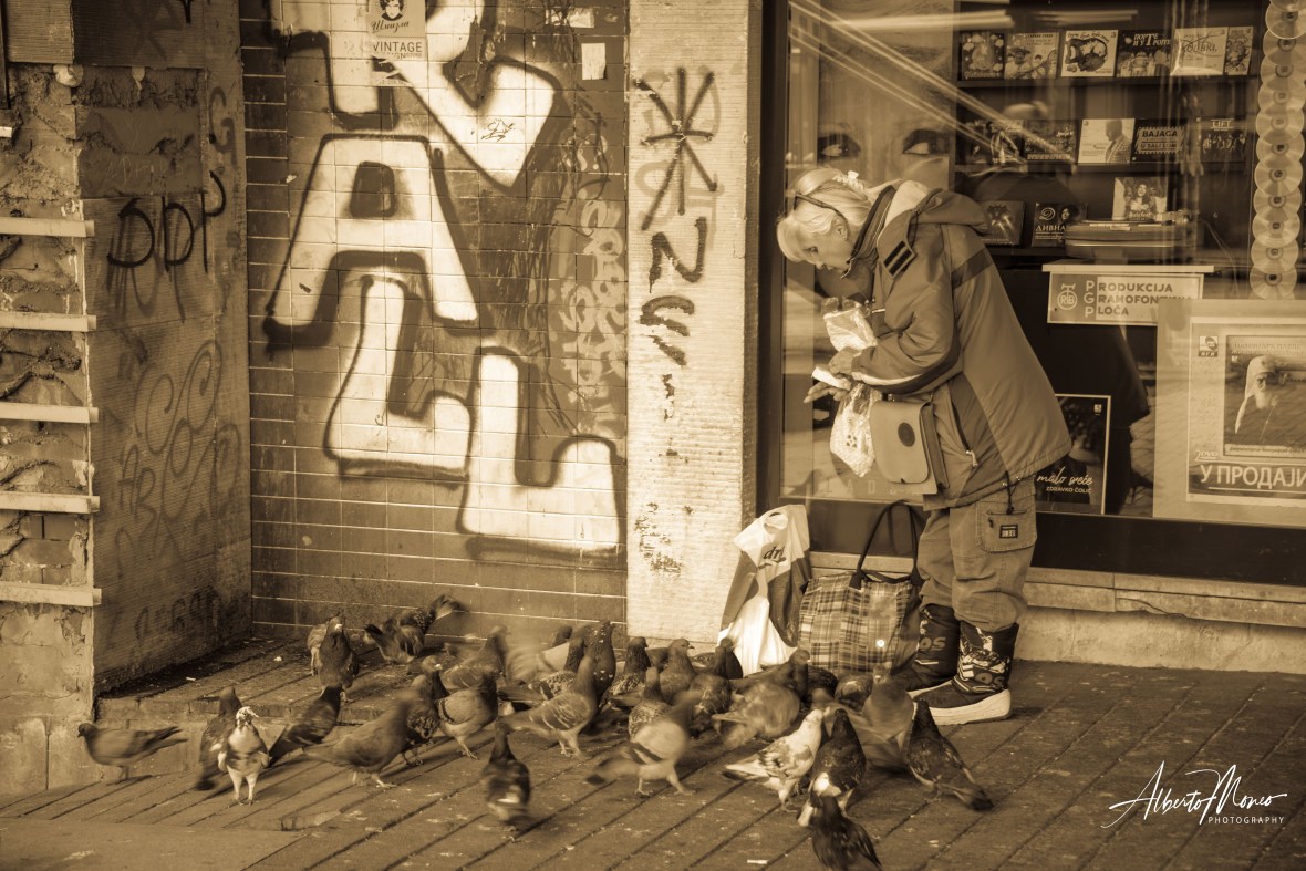 46281883454_1c7796c4dd_o