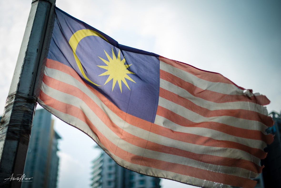 20190704-AMM_4417 copy