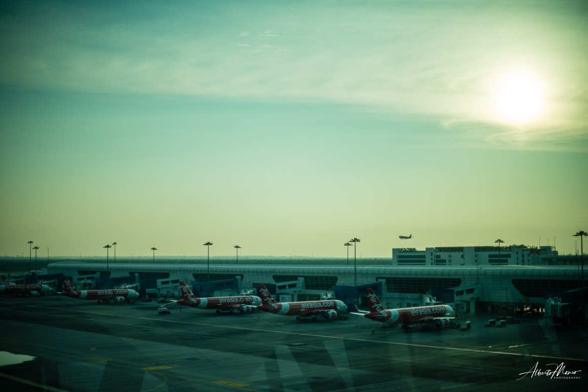 20190704-AMM_4596 copy